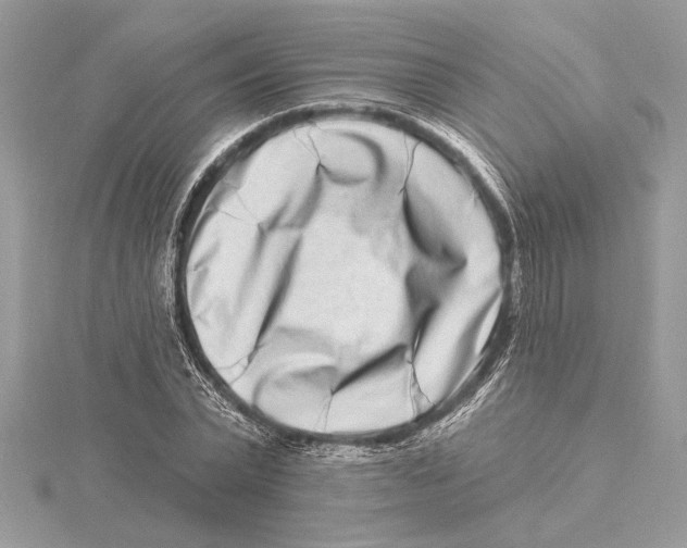 X0000115520783200912040928