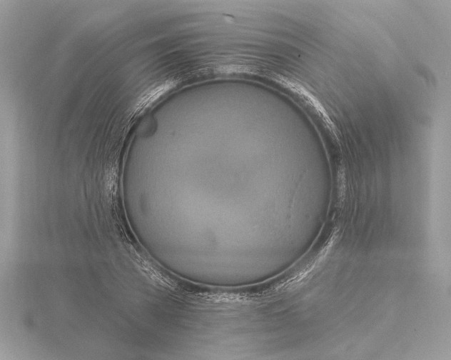 X0000115520785200912040928