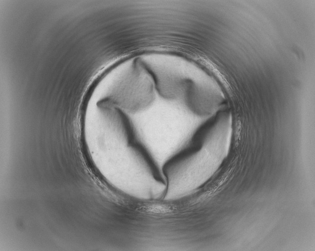 X0000115520787200912040928