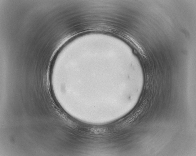 X0000115520788200912040928