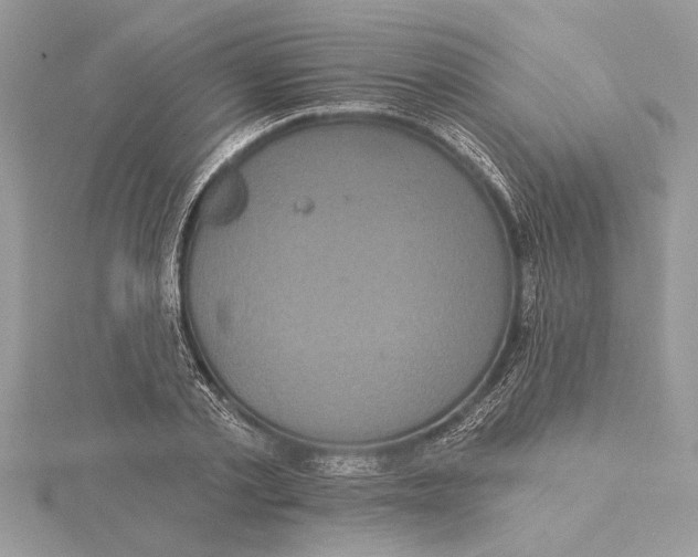 X0000115520789200912040928