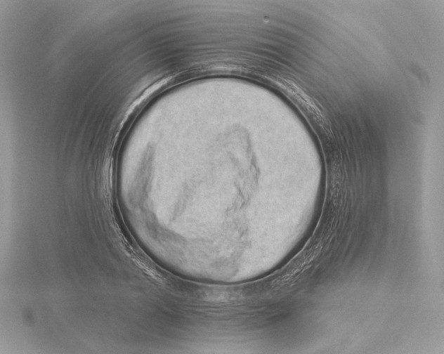 X0000115520790200912040928