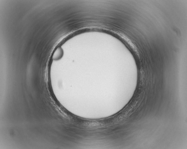 X0000115520791200912040928