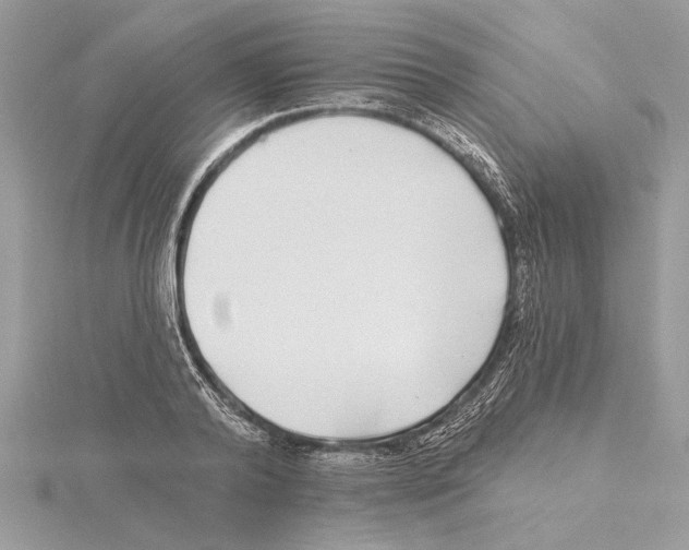 X0000115520792200912040928