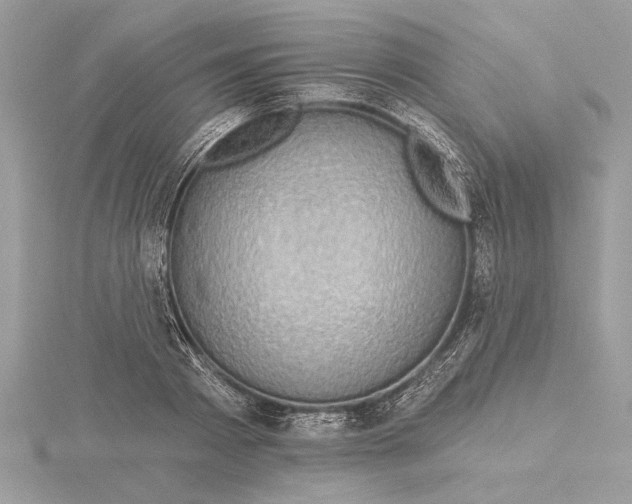 X0000115520793200912040928