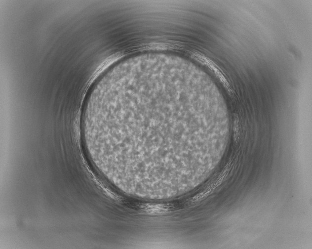 X0000115520794200912040928