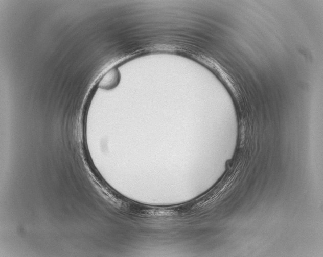 X0000115520795200912040928