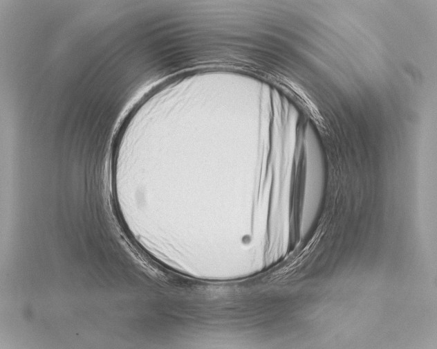 X0000115520796200912040928