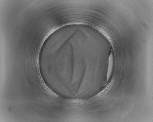 X0000115520797200912040928