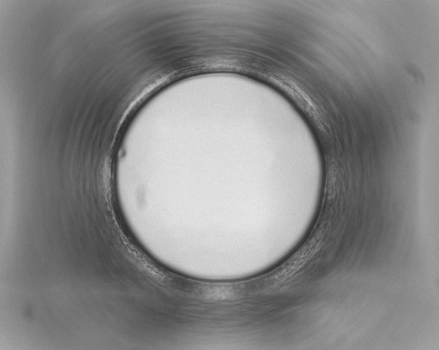 X0000115520798200912040928