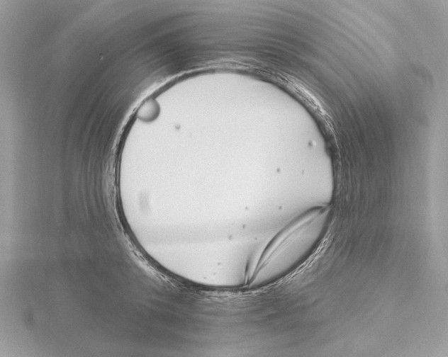 X0000115520800200912040928