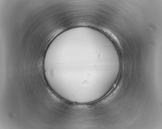 X0000115520801200912040928