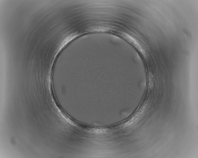 X0000115520802200912040928