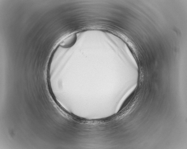 X0000115520803200912040927