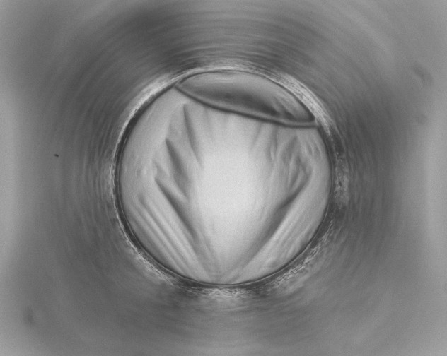 X0000115520805200912040927