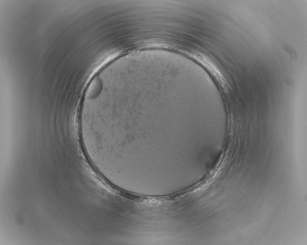 X0000115520806200912040927