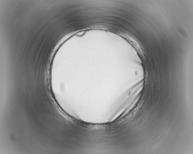 X0000115520808200912040927