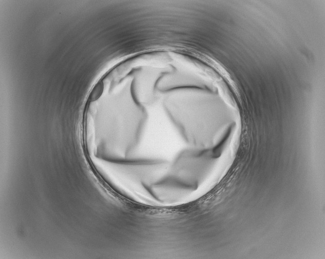 X0000115520811200912040927