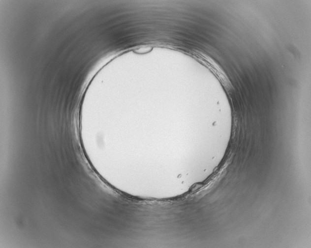 X0000115520812200912040927