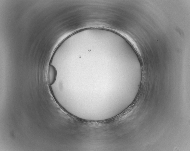 X0000115520815200912040927