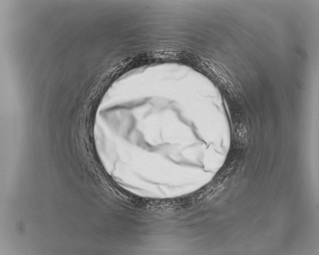 X0000115520817200912040927