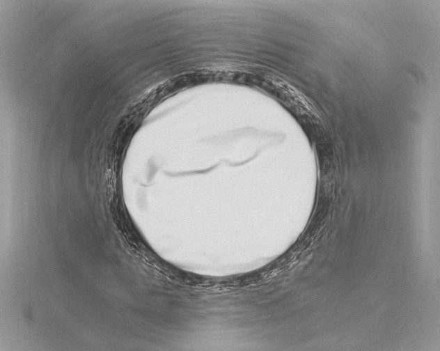 X0000115520821200912040927