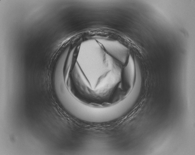 X0000115520822200912040927