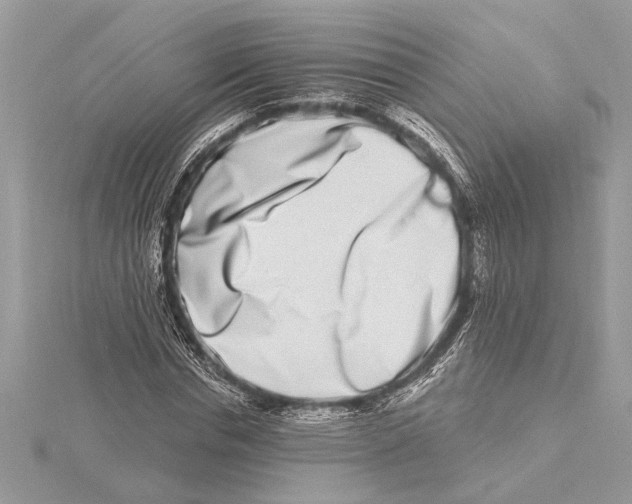 X0000115520826200912040927