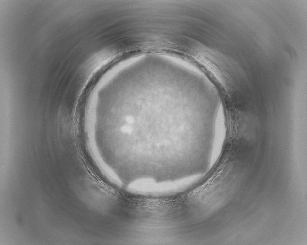 X0000115520832200912040927