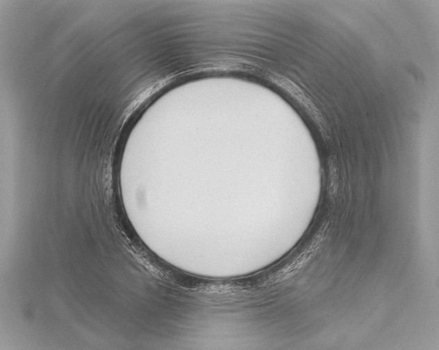 X0000115520834200912040927