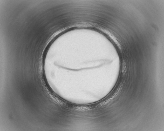 X0000115520837200912040927