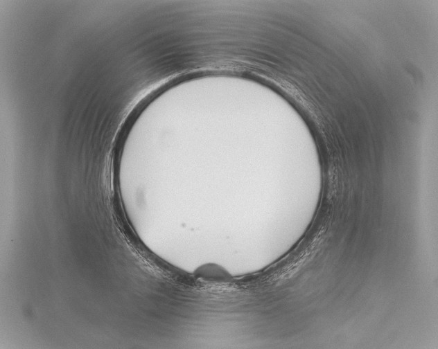 X0000115520838200912040927