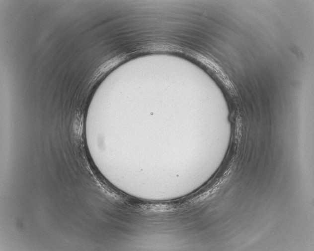 X0000115520841200912040927