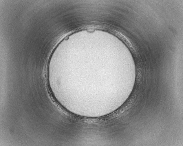 X0000115520852200912040927