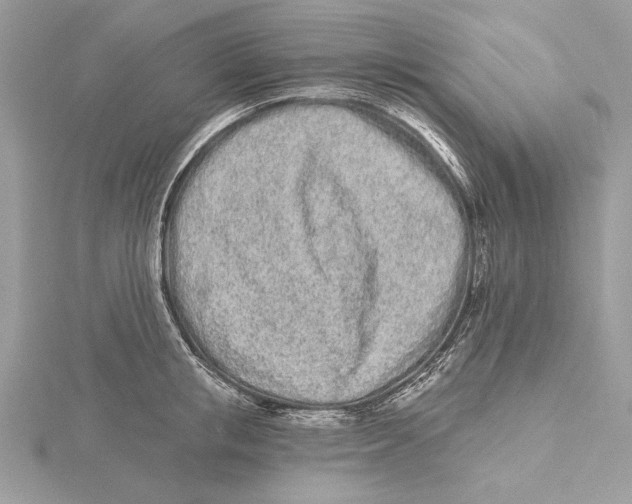 X0000115520853200912040927