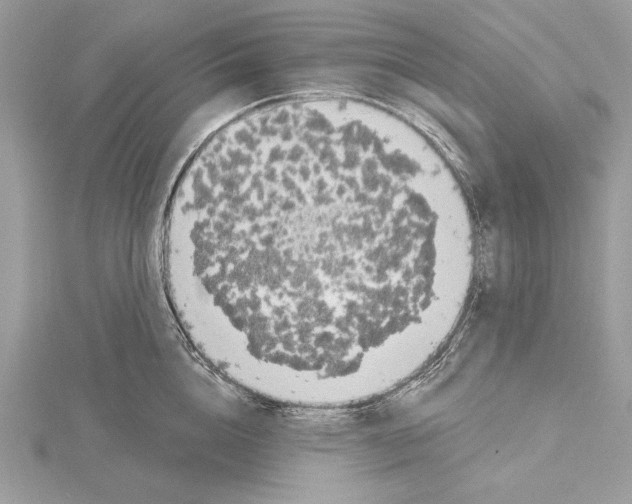 X0000115520856200912040927