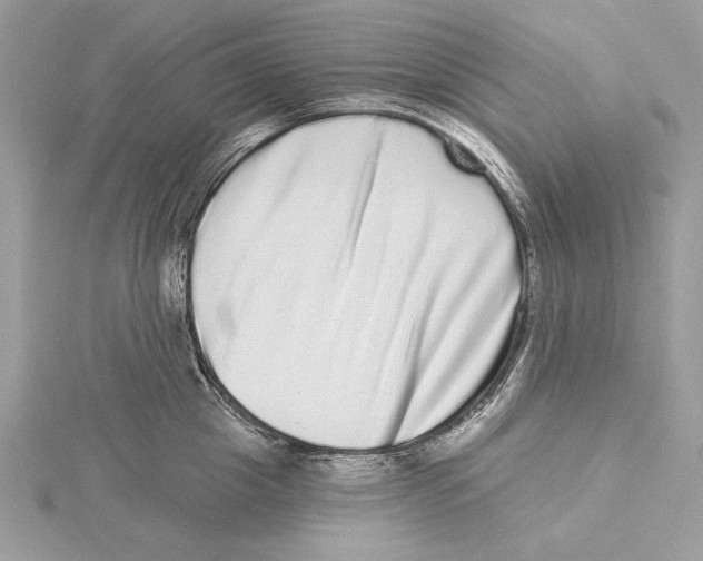 X0000115520857200912040927