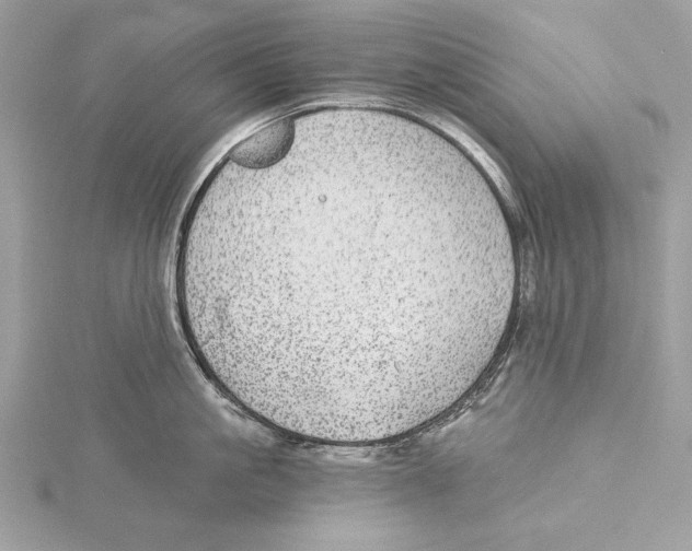 X0000115520861200912040927