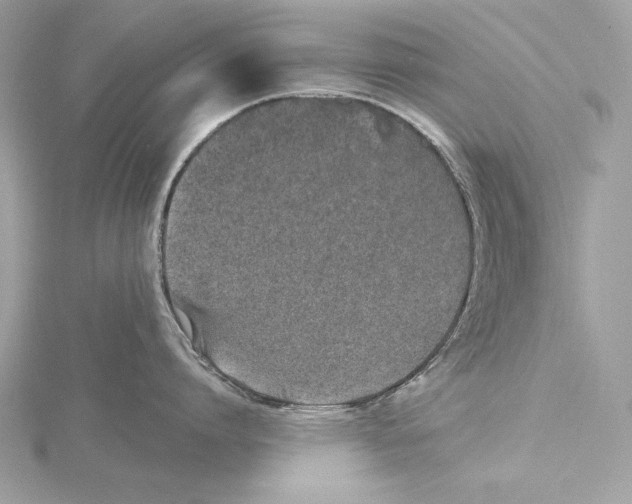 X0000115520864200912040927