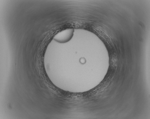 X0000115520865200912040927