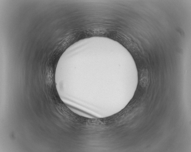 X0000115520866200912040927