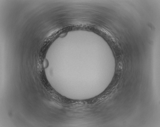 X0000115520869200912040927