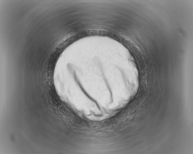 X0000115520870200912040927