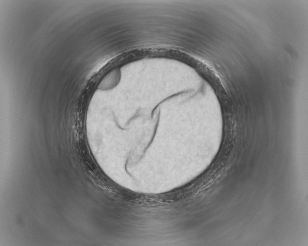 X0000115520871200912040927