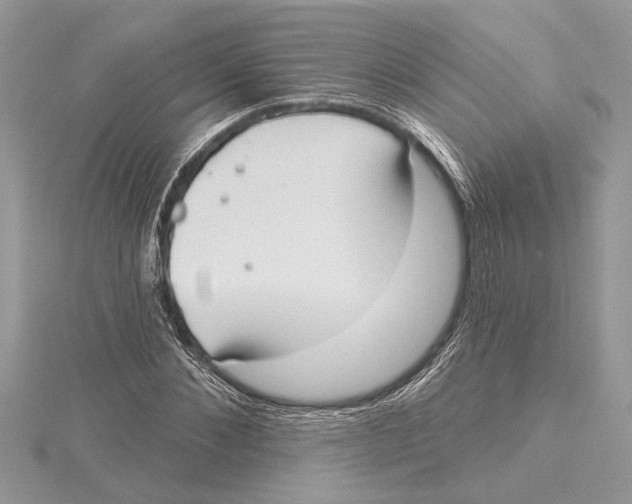 X0000115520876200912040927