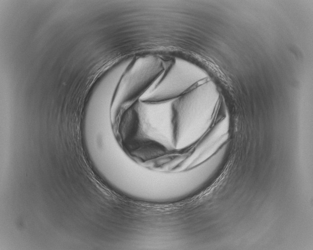 X0000115520881200912040926