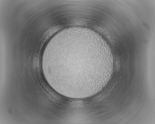 X0000115520882200912040926