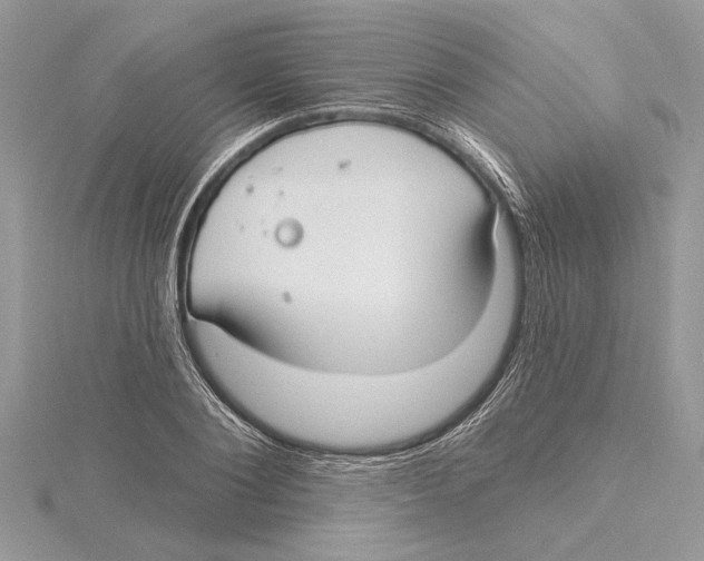 X0000115520884200912040926