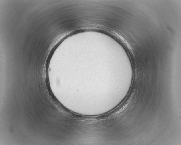 X0000115520885200912040926