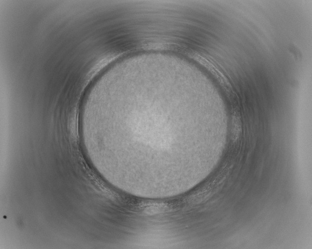 X0000115520886200912040926